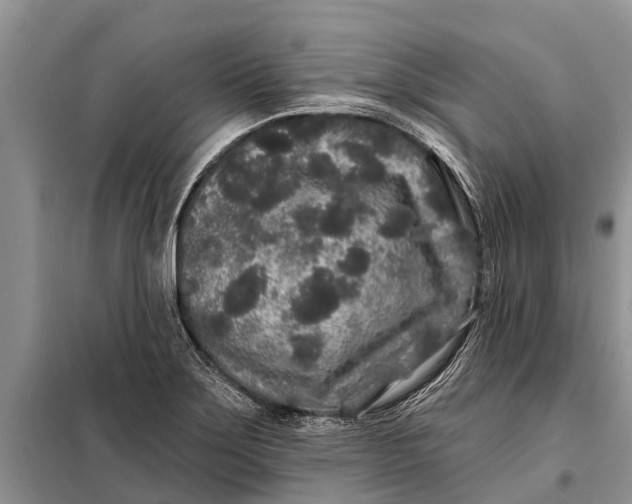 X0000097971275200804071048