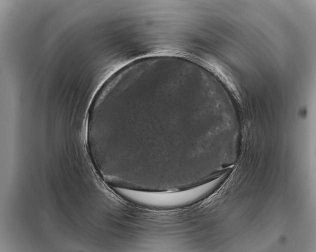 X0000097971276200804071048