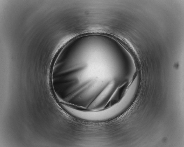 X0000097971277200804071048