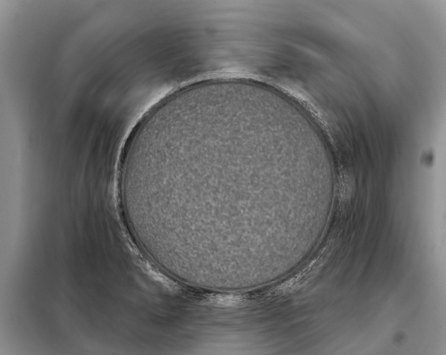 X0000097971278200804071048