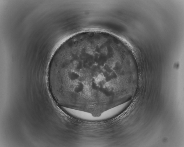 X0000097971279200804071048