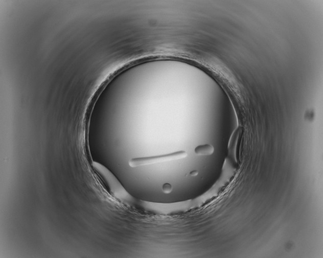 X0000097971280200804071048