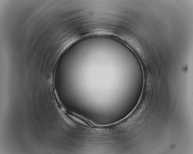 X0000097971281200804071048