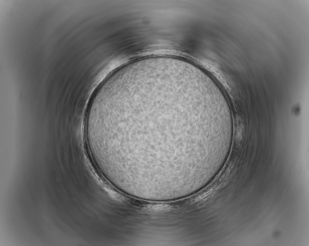 X0000097971282200804071048