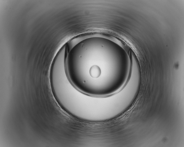 X0000097971283200804071048