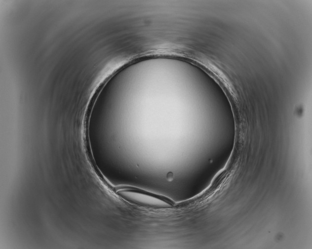 X0000097971285200804071048