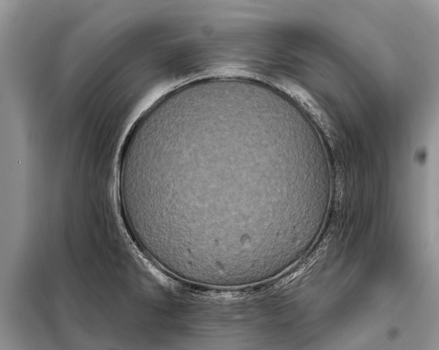 X0000097971286200804071048