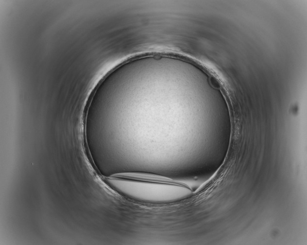 X0000097971287200804071048