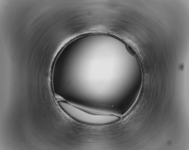 X0000097971288200804071048