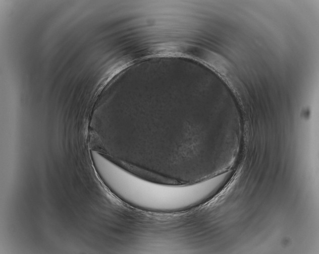 X0000097971289200804071048