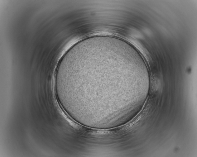 X0000097971290200804071048