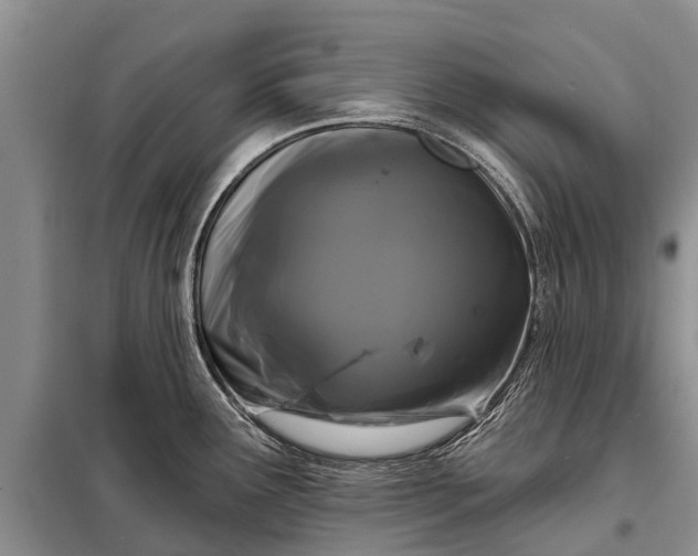 X0000097971291200804071048