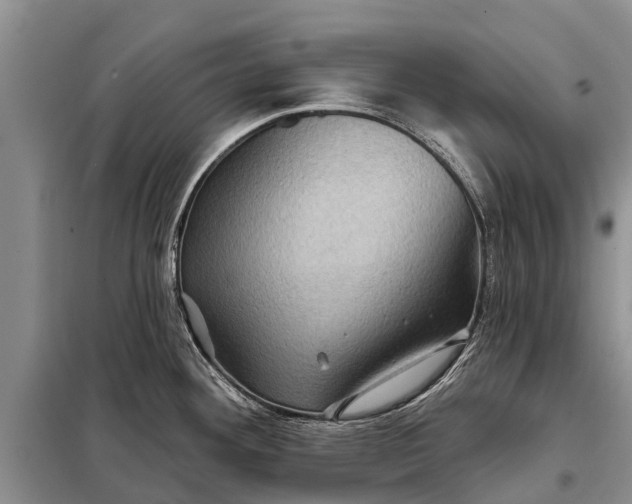 X0000097971292200804071048