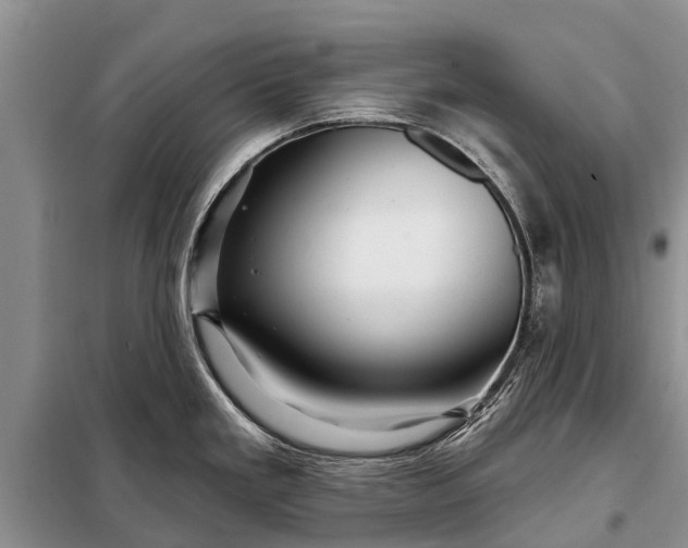 X0000097971293200804071048