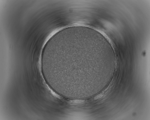 X0000097971294200804071048