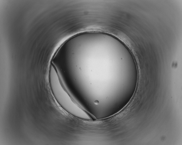 X0000097971296200804071048