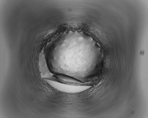 X0000097971297200804071047