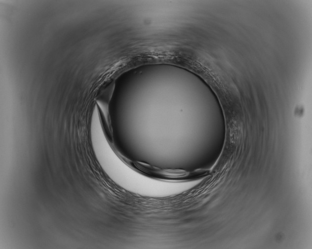 X0000097971298200804071047