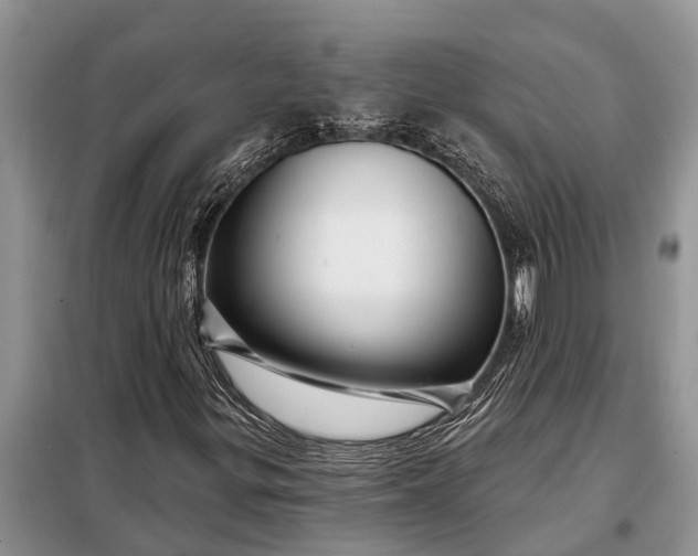 X0000097971299200804071047