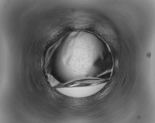 X0000097971300200804071047