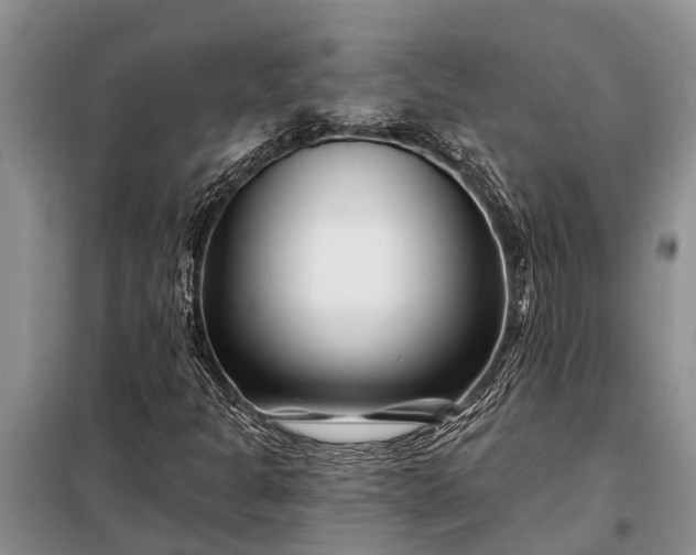 X0000097971301200804071047