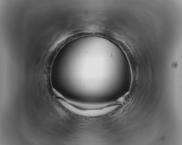 X0000097971304200804071047