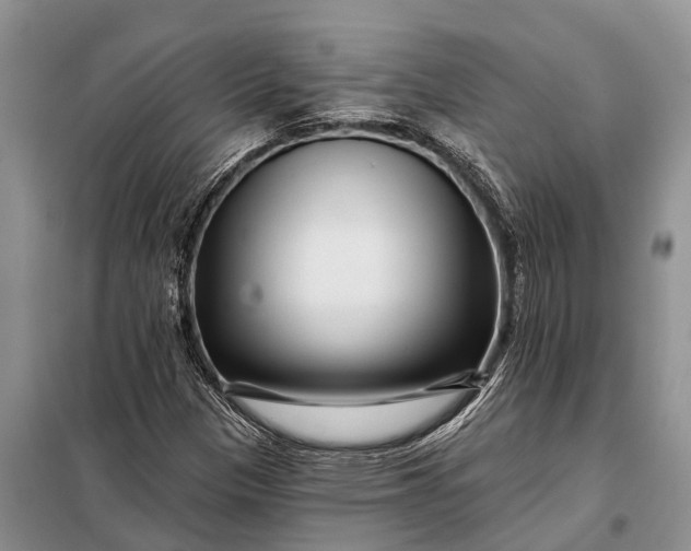 X0000097971305200804071047