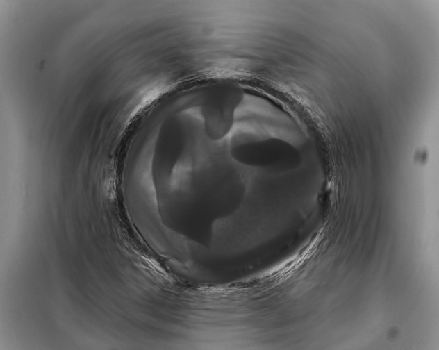 X0000097971306200804071047