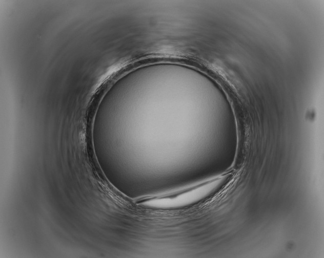 X0000097971307200804071047