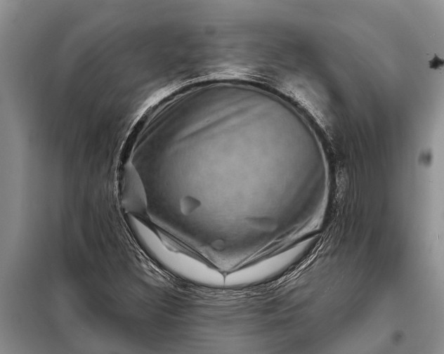 X0000097971308200804071047