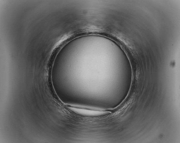 X0000097971309200804071047