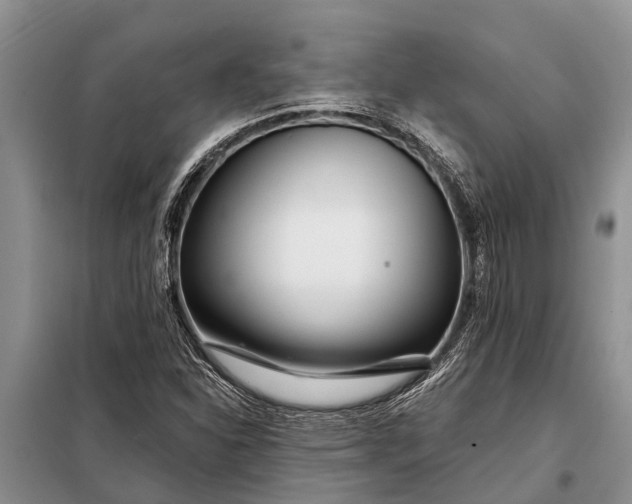 X0000097971310200804071047