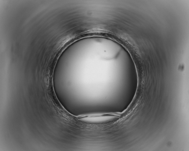 X0000097971313200804071047