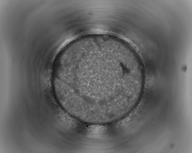 X0000097971314200804071047