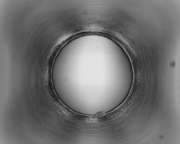 X0000097971315200804071047