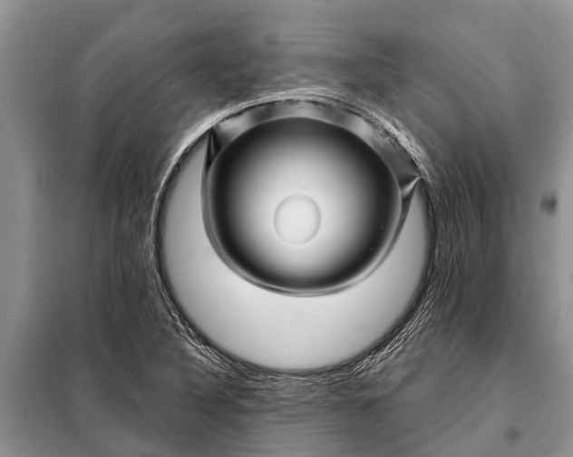 X0000097971316200804071047