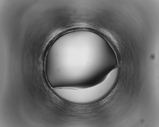 X0000097971318200804071047