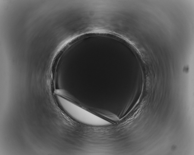 X0000097971319200804071047