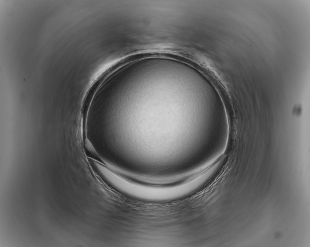 X0000097971320200804071047