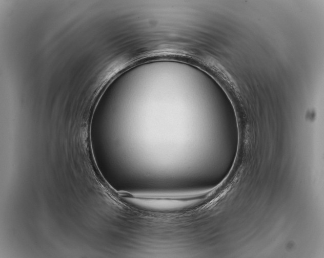 X0000097971321200804071047