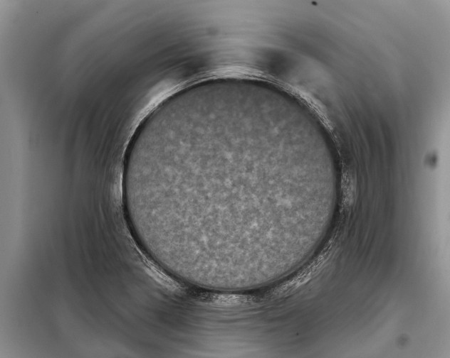 X0000097971322200804071047