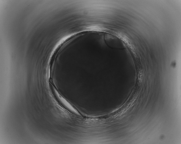 X0000097971323200804071048