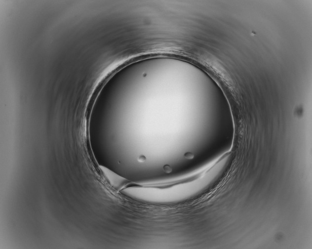 X0000097971324200804071048