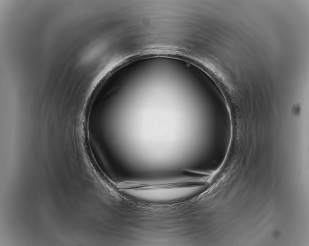 X0000097971325200804071048