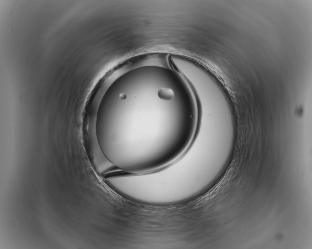 X0000097971326200804071048