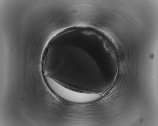 X0000097971327200804071048