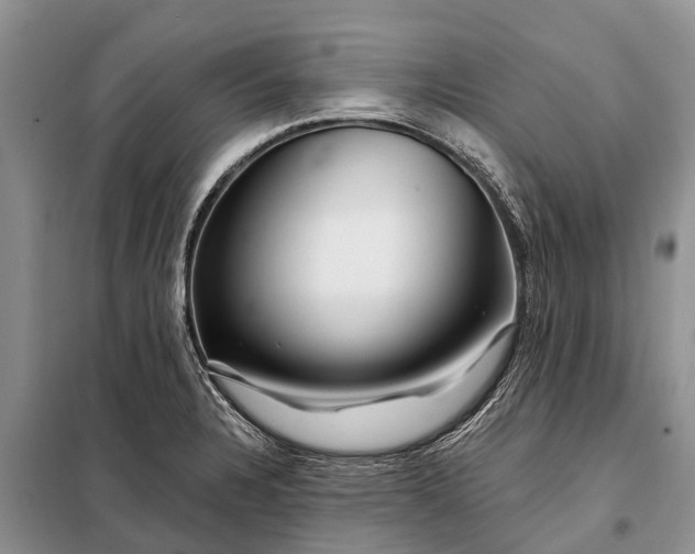 X0000097971328200804071048