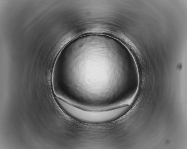 X0000097971329200804071048