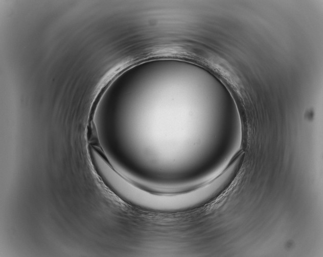 X0000097971330200804071048