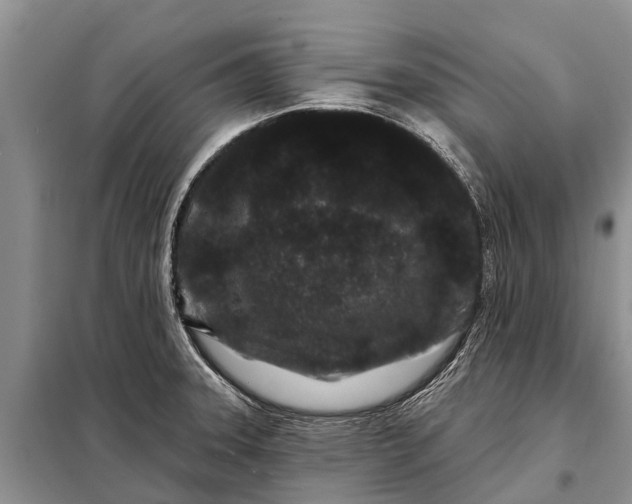 X0000097971331200804071048